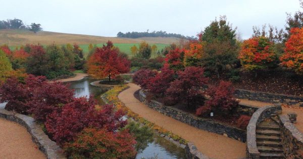 Part of Mayfield Garden in Autumn